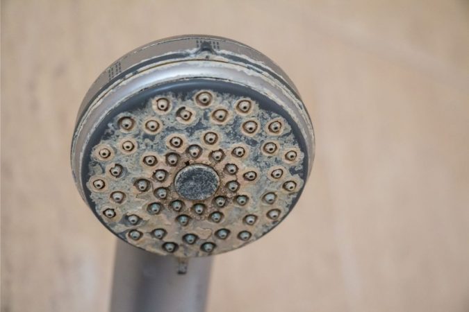hard water scale buildup on shower head