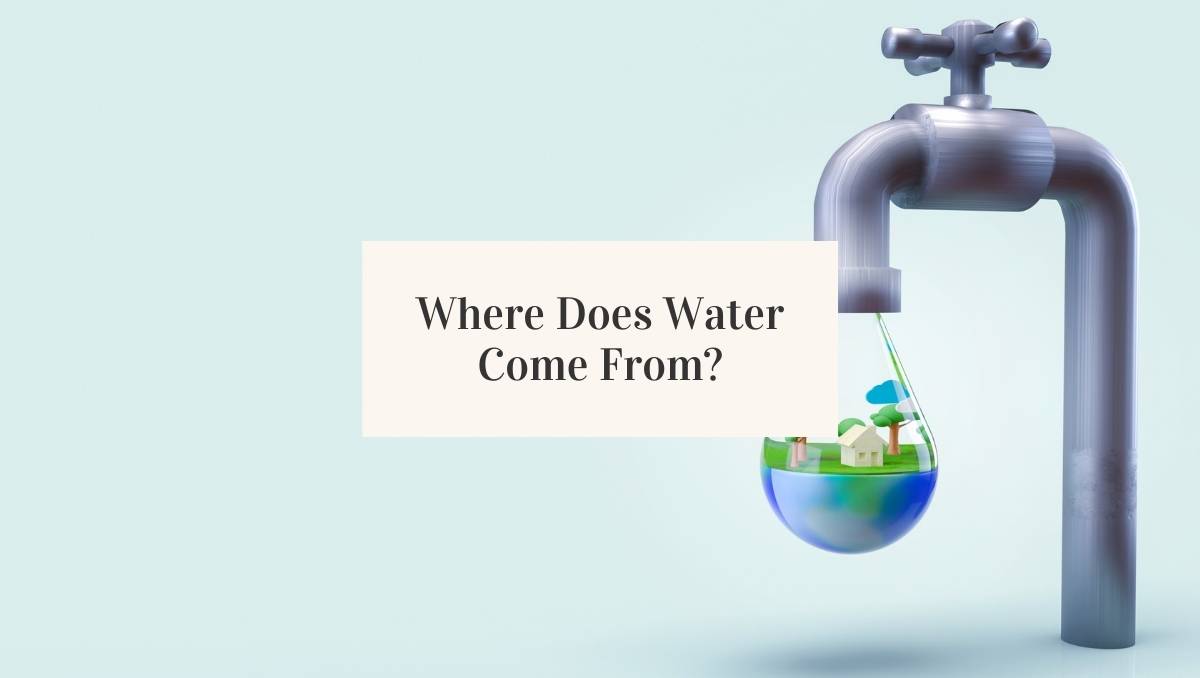 The Origin of Our Water on Earth Jug Free