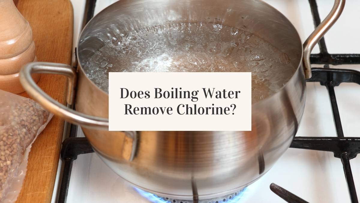 Boiling Water to Remove Chlorine Jug Free