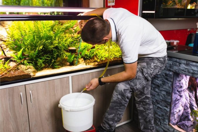 man changes water in aquarium to lower TDS level