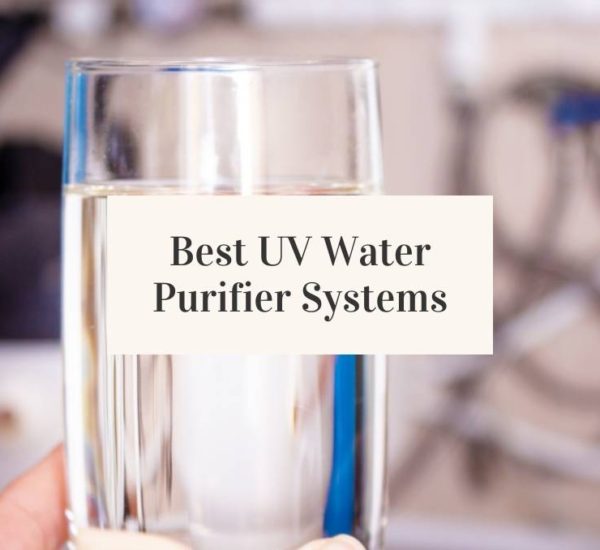 Best UV Water Purifier Systems