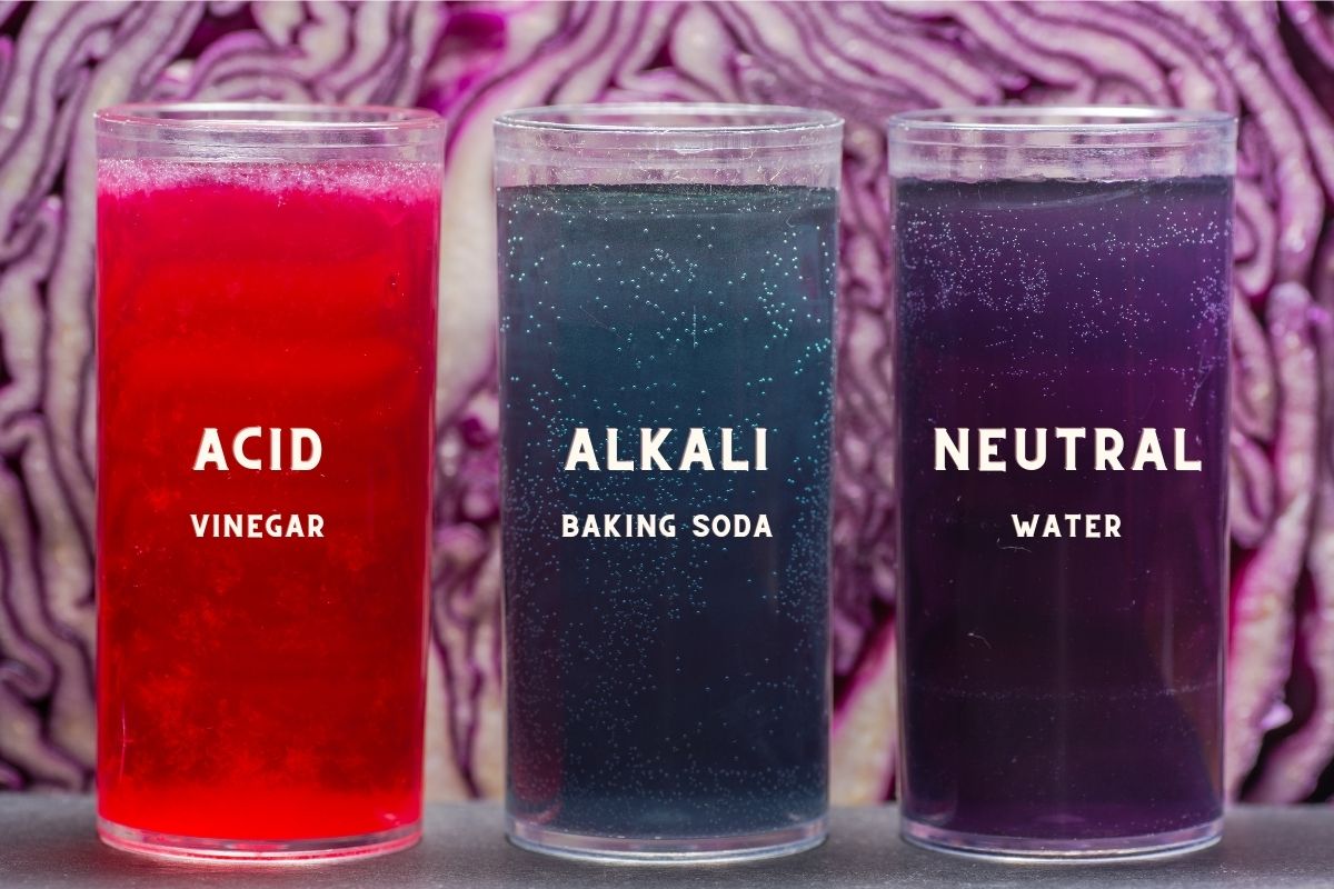 6 DIY Methods to Test pH of Water Without a Kit Jug Free