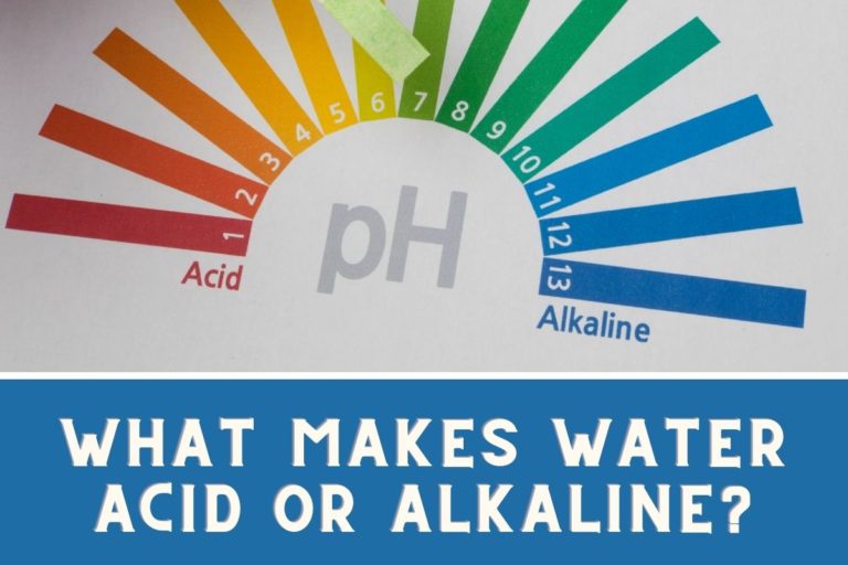 6 DIY Methods to Test pH of Water Without a Kit Jug Free