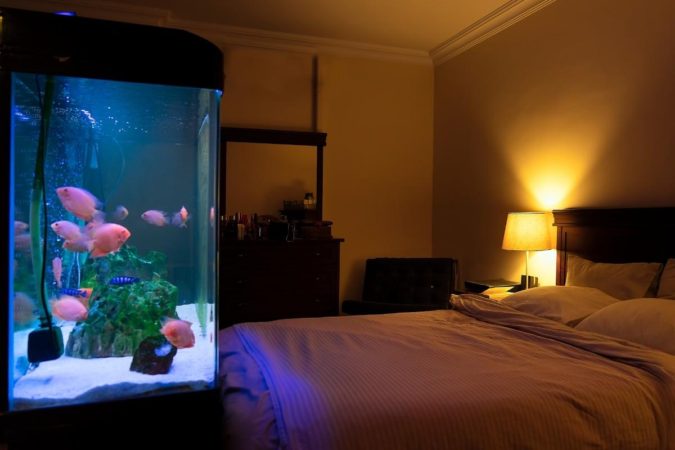 aquarium in bedroom