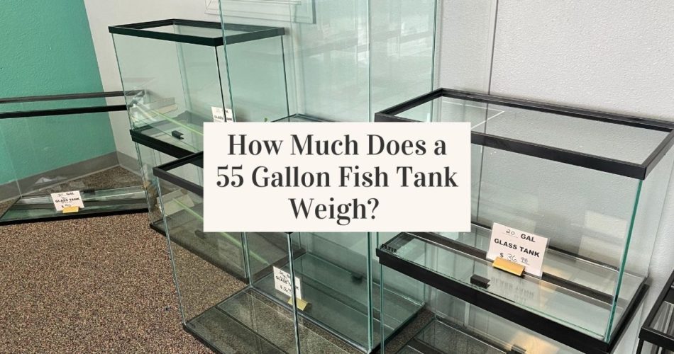 How Much Does a 55 Gallon Fish Tank Weigh